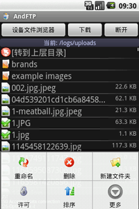 Chinese support